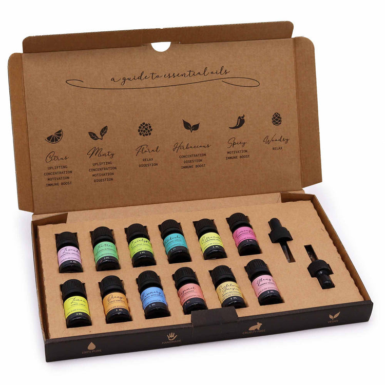 Aromatherapy Essential Oil Set - The Top 12 – visuel produit 2
