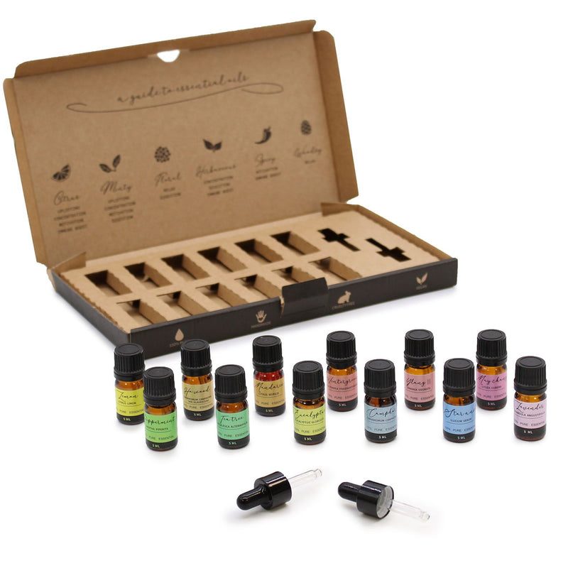Aromatherapy Essential Oil Set - Starter Pack – visuel produit 9