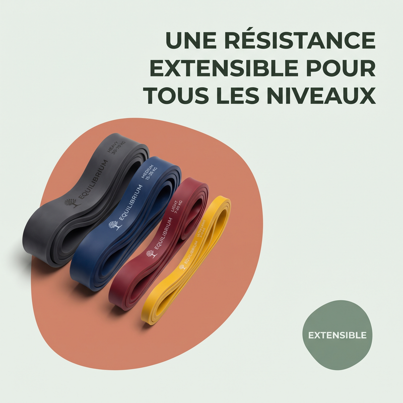 Une résistance extensible pour tous les niveaux — Extensible